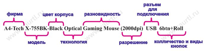 Мышь
